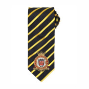 2214 (Usworth) Squadron RAFAC Tie